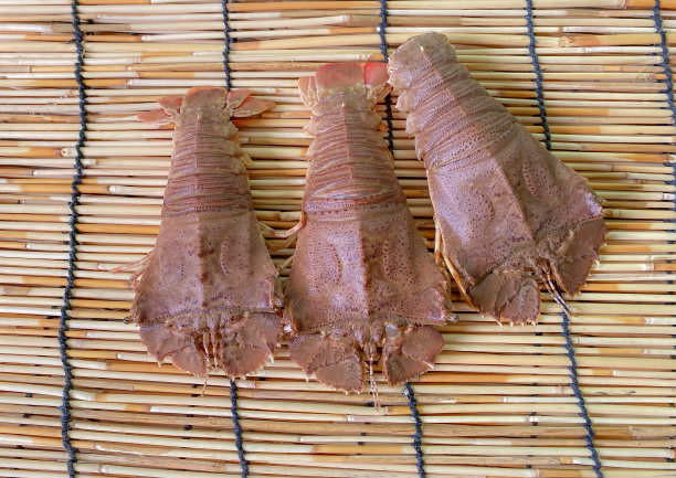 扁头龙虾，东方扁头龙虾，龙虾，龙虾，是一种非常美味的海鲜。能在热带国家的鱼市上找到吗图片下载