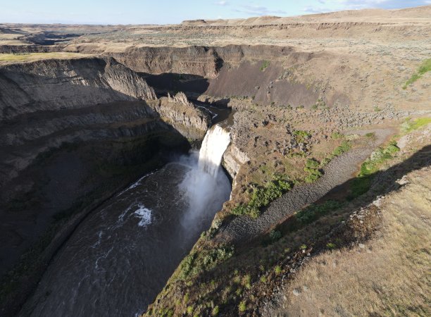 2022年帕卢斯图片下载