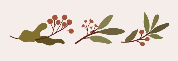 手绘的植物枝叶，花和红色的浆果。手绘矢量植物插图图片下载