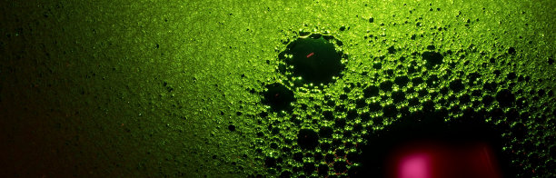 绿色的水和紫色的斑点图片下载