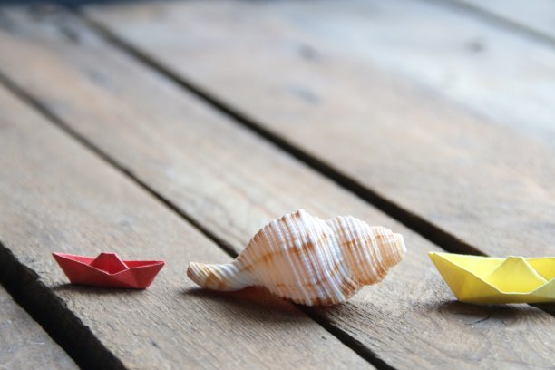 夏天的背景。木制背景上的贝壳。图片下载