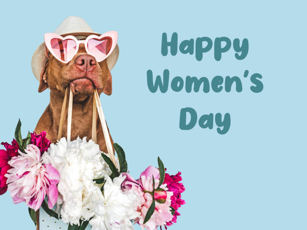 可爱的棕色小狗和一束花图片下载