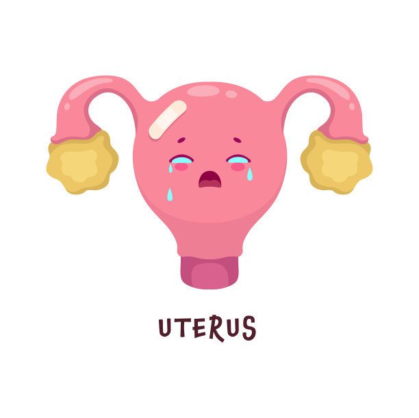 子宫病变、损伤和脏器不健康图片下载