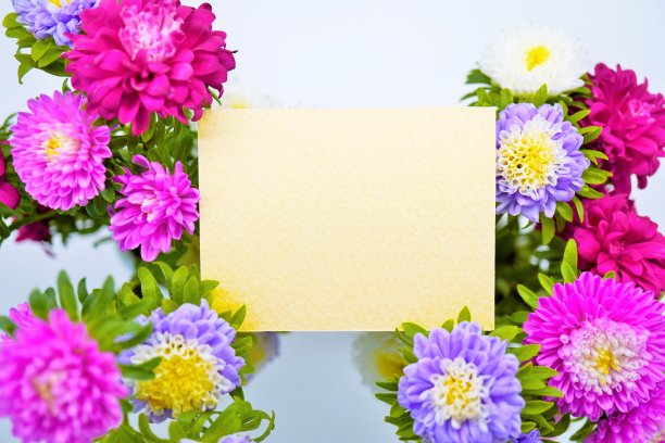 可爱的黄色评论空间模型装饰着白色、红色和紫色的紫菀花图片下载