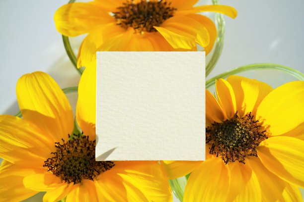 用黄色向日葵装饰在玻璃容器中的夏季贺卡模型图片下载