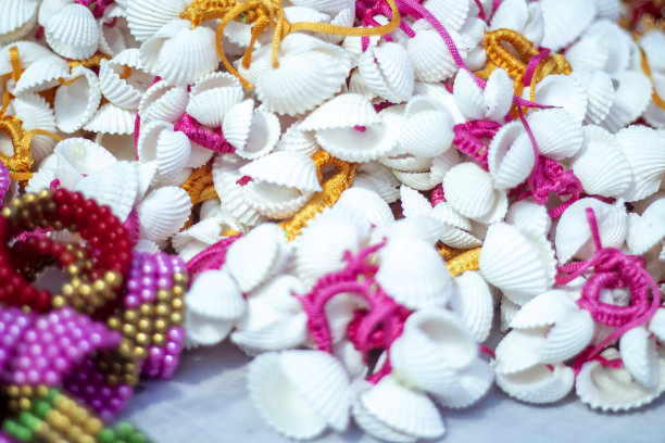 由海螺和模糊背景制成的化妆品图片下载