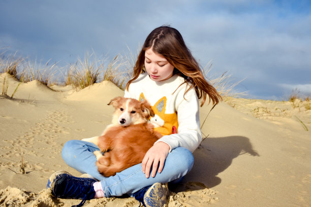 在法国西南部的海滩上，一个漂亮的年轻女孩抱着她的小边境牧羊犬图片下载