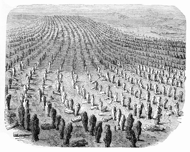 布列塔尼卡纳克石刻古版画，3000多块史前立石图片下载