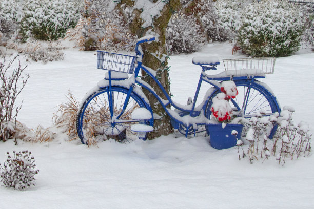 雪中的自行车——印第安纳州霍华德县图片下载