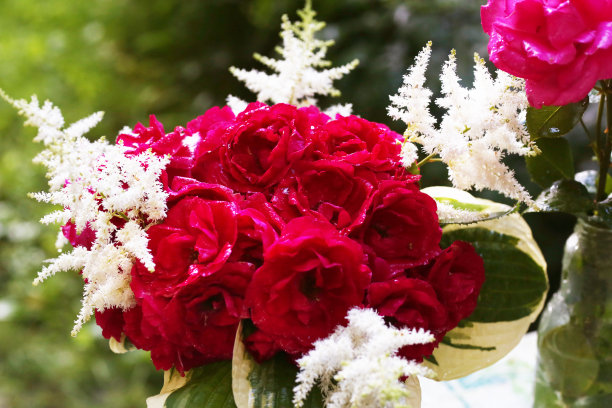 红色，粉红色的玫瑰花束在水晶花瓶与雨滴近距离照片在夏天绿色花园的背景图片下载