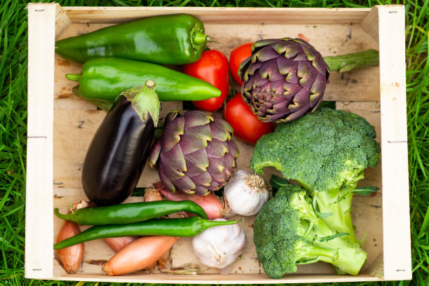各种生蔬菜——茄子、洋蓟、辣椒、西红柿放在一个盒子里放在草地上。健康饮食的理念，素食主义。为烧烤准备蔬菜。图片下载