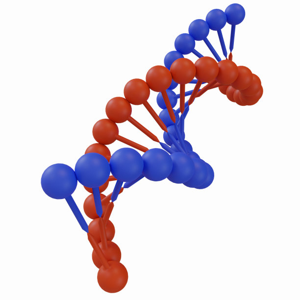 蓝色和红色的DNA基因螺旋的3d渲染插图图片下载