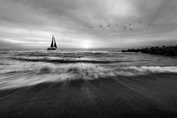 日落海洋日落鼓舞人心的扬帆鸟自然风景黑白图片下载