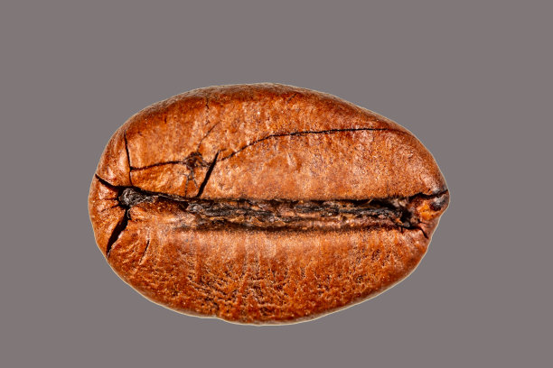 烘焙咖啡豆，特写，孤立的背景图片下载