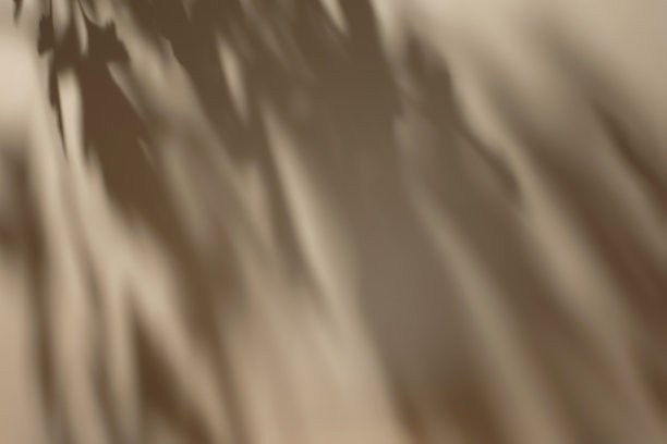 场景与白色讲台在米色背景和阴影图片下载