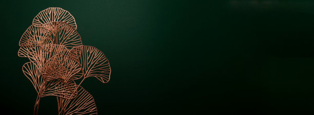 深绿色背景下的金色银杏叶。豪华装饰海报印刷或横幅背景。图片下载