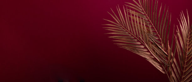 红色背景下的金色椰枣树枝。豪华装饰海报印刷或横幅背景。图片下载