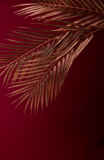 红色背景下的金色椰枣树枝。豪华装饰海报印刷或横幅背景。图片下载