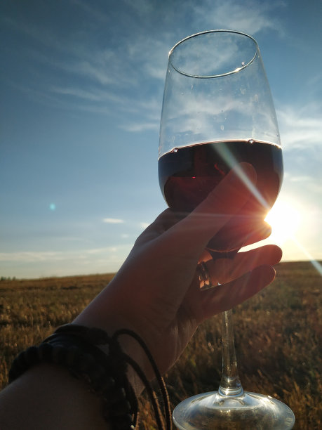 日落时分，在田野里，喝一杯红酒。图片下载