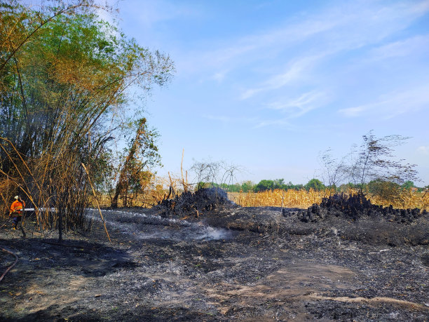 烧焦的土地图片下载