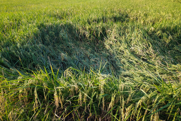 恶劣的天气图片下载