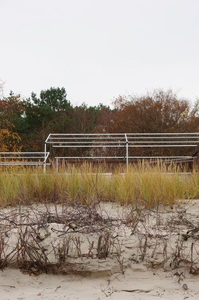 在阴天里，在树林附近的田野上的栅栏图片下载