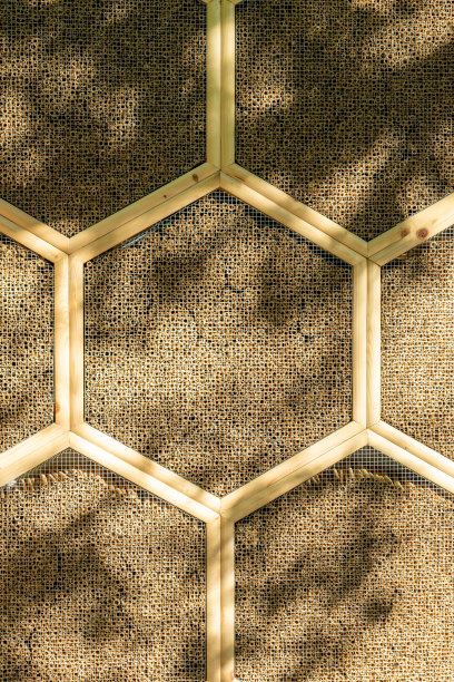 六角形图案的网在树荫下图片下载