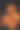 橙色菊花在花园里生长的特写镜头图片下载