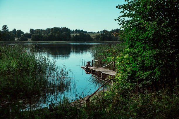 一条小河在茂密的绿叶下，一片安静的回水。图片下载