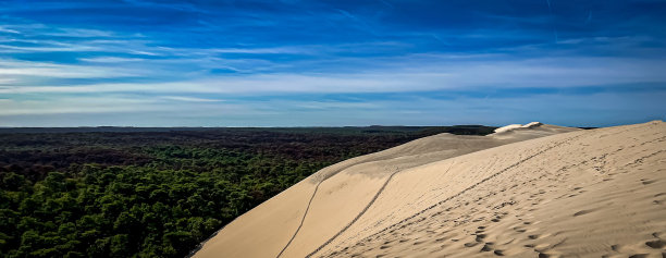 比拉特沙丘的空中全景图，背景是法国郁郁葱葱的绿色森林图片下载