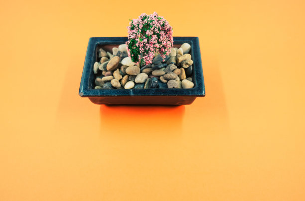 盆栽塑料樱花树孤立在橙色背景与文本的自由空间图片下载