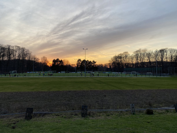 足球训练场前的夕阳在森林的边缘图片下载