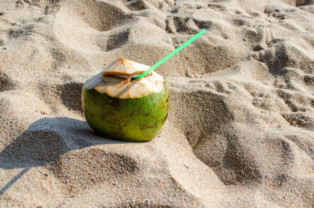 暑假海边，椰子拿着一根稻草在沙滩上靠岸，海边，沙滩上闲着图片下载