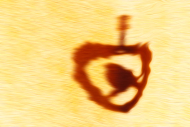 这是一幅抽象艺术作品，主题是一只小鸟的剪影，它穿过一块灰白色的布，栖息在一个棕色的心形框架上。图片下载