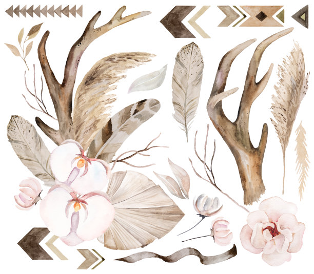 水彩鹿角与热带树叶和花束和元素婚礼插图图片下载