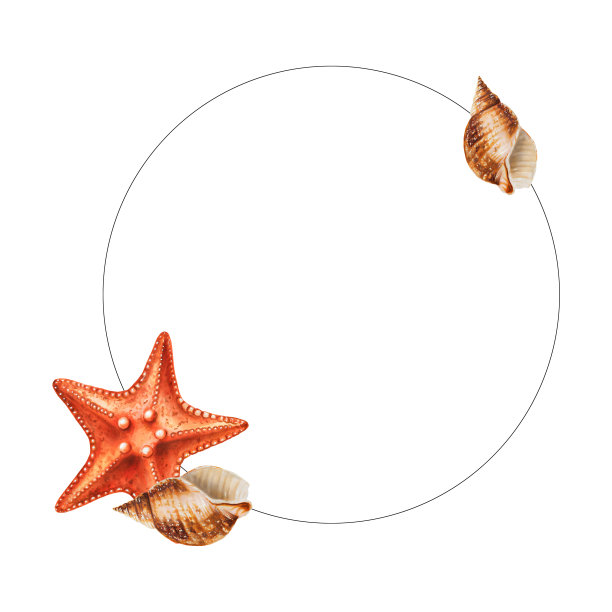 水彩框架与贝壳。手绘剪纸水下生活对象在一个白色孤立的背景。为设计师，装饰，明信片，包装纸，剪贴簿，封面，请柬，婚礼设计，海报和纺织品图片下载