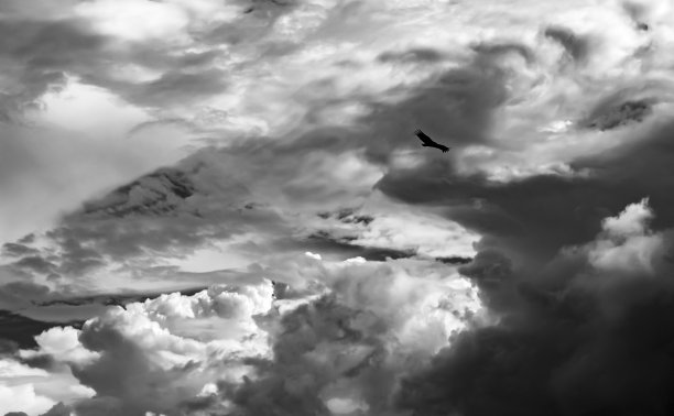 秃鹰在戏剧性的天空中飞翔。黑白照片。哥伦比亚桑坦德的巴里卡拉。图片下载