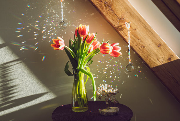 水晶球形状的彩虹制造商太阳捕手挂在家里客厅在阳光明媚的春天。风水好，沙池反射，能量流概念。铸造彩虹。图片下载