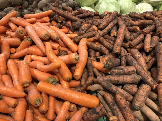 洗净和未洗的胡萝卜与甜菜，卷心菜，蔬菜概念图片下载