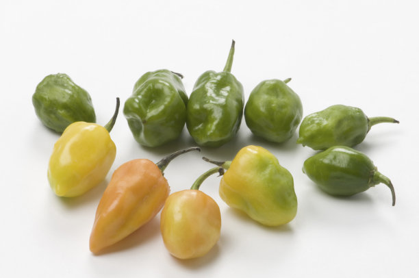 白色背景的辣椒。白底辣椒图片下载