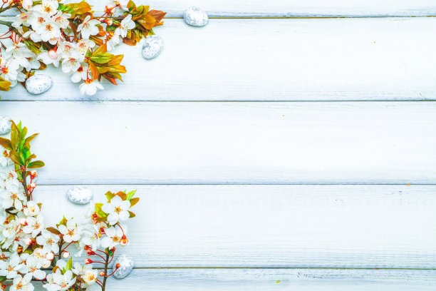 复活节彩蛋木头。四月花自然，白色快乐彩蛋上的木头春天背景。复活节图案与文本的地方。图片下载