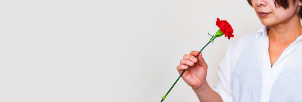 康乃馨与母亲节图片下载