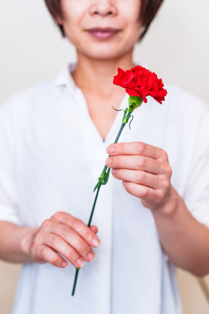 康乃馨与母亲节图片下载