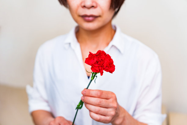 康乃馨与母亲节图片下载