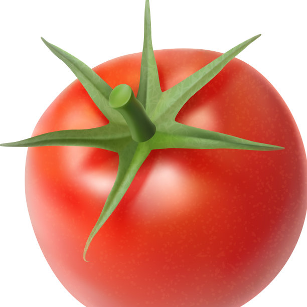 现实的番茄图片下载