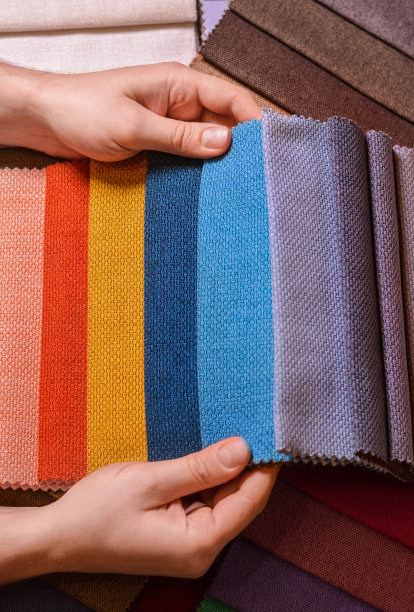 顾客看了看，选择了她喜欢的颜色的面料，从面料样本中选择了她新沙发的面料。图片下载