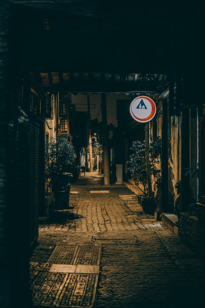 夜间一条黑暗小巷的垂直镜头图片下载