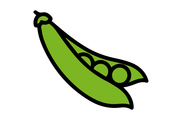 绿豌豆。绿豌豆荚的末端。矢量图像。隔离在白色背景上。包装设计元素。图片下载