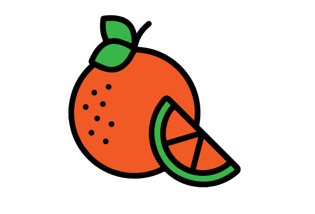 一套新鲜整片，切成片的橙色水果孤立在白色背景上。图片下载