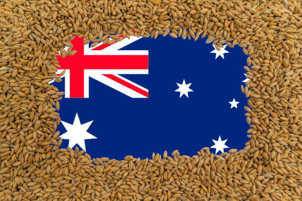 澳大利亚国旗的背景是成熟的麦粒的矩形框架图片下载
